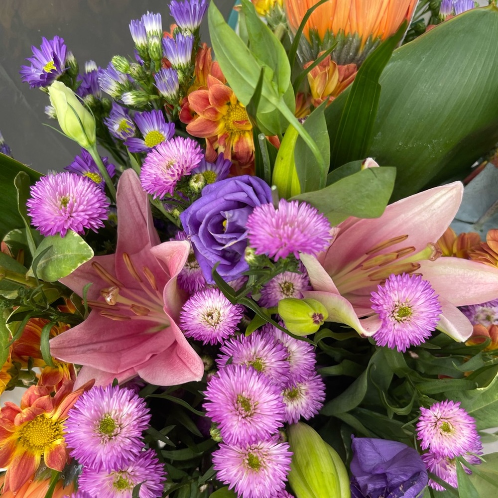 Meet your Posher, Lily